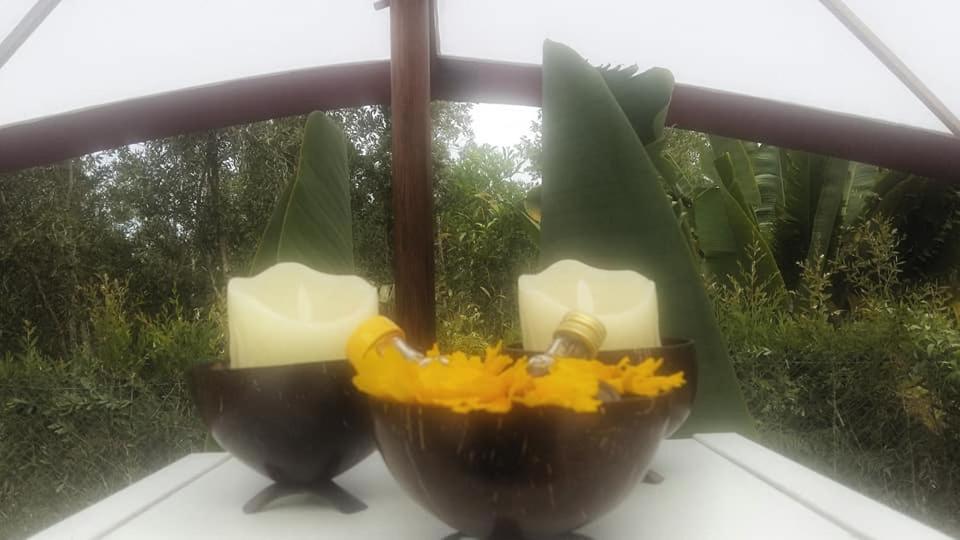 The Sanctuary Lodge Foulpointe Bagian luar foto